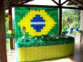 /album/festa-do-brasil/bandeiradobrasil3-jpg/