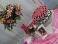 /album/festa-simples/dsc01371-jpg/